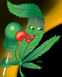 cannabis