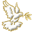 colombe